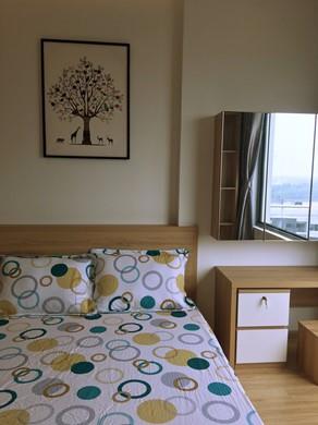 apartment for rent in district 2 hcmc new city apartment for rent in district 2 hcmc D224682  (13)